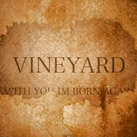 Vineyard With You Im Born Again